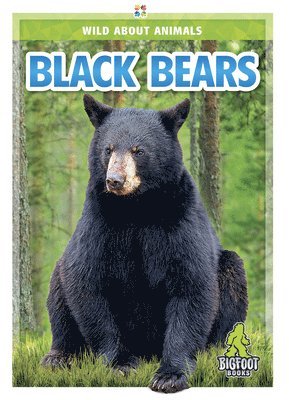 Renata Marie - Black Bears, Inbunden