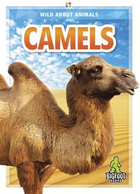 Rhonda E. Nichols - Camels, Inbunden
