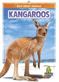 bokomslag Kangaroos