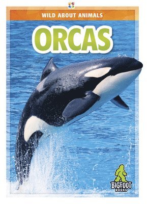Colton Temple - Orcas, Inbunden