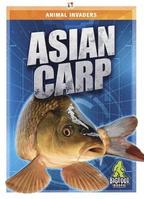 Jody Jensen Shaffer - Asian Carp, Inbunden. Tillgänglighet: Lägg i varukorg