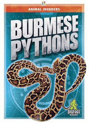 Jody Jensen Shaffer - Burmese Pythons, Inbunden. Tillgänglighet: Lägg i varukorg