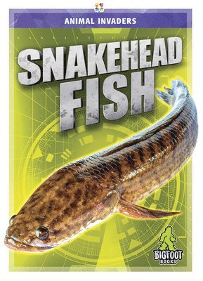 Jody Jensen Shaffer - Snakehead Fish, Inbunden. Tillgänglighet: Lägg i varukorg