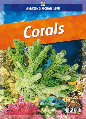 bokomslag Corals