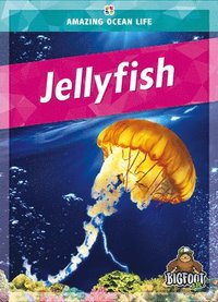 bokomslag Jellyfish