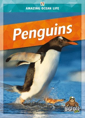 bokomslag Penguins