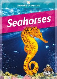 bokomslag Seahorses