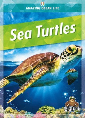 Colleen Sexton - Sea Turtles, Inbunden
