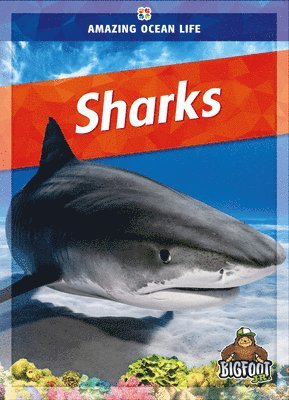 bokomslag Sharks