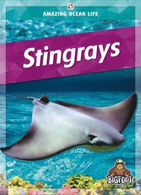 bokomslag Stingrays