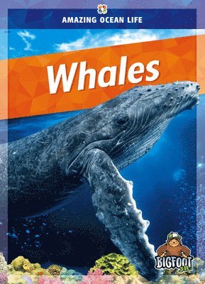 Whales 1