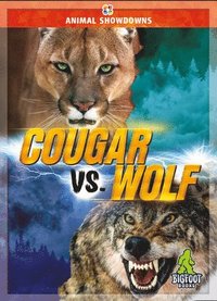 bokomslag Cougar vs. Wolf
