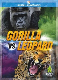 bokomslag Gorilla vs. Leopard