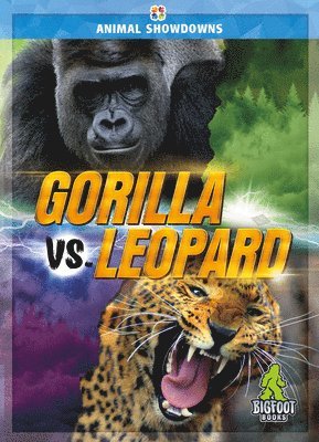 bokomslag Gorilla vs. Leopard