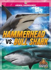 bokomslag Hammerhead vs. Bull Shark