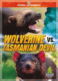 bokomslag Klepinger, T: Wolverine vs. Tasmanian Devil