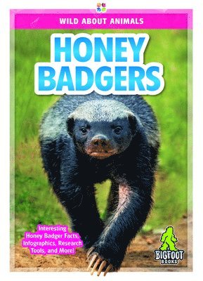 Renata Marie - Honey Badgers, Inbunden