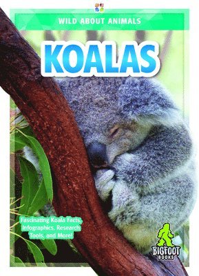 Renata Marie - Koalas, Inbunden