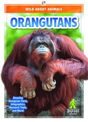 Renata Marie - Orangutans, Inbunden