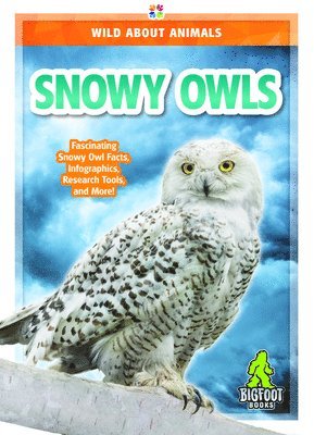 Renata Marie - Snowy Owls, Inbunden