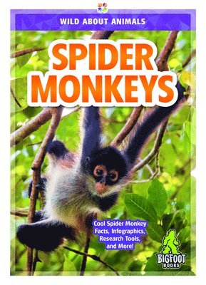Renata Marie - Spider Monkeys, Inbunden