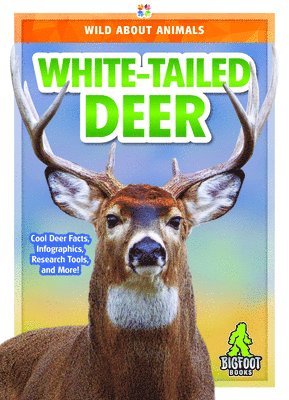 Renata Marie - White-Tailed Deer, Inbunden