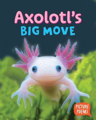Elizabeth Clark - Axolotl's Big Move, Inbunden