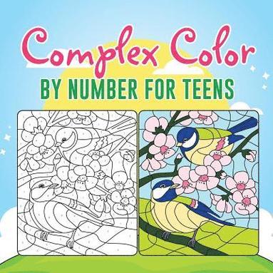 bokomslag Complex Color by Number for Teens