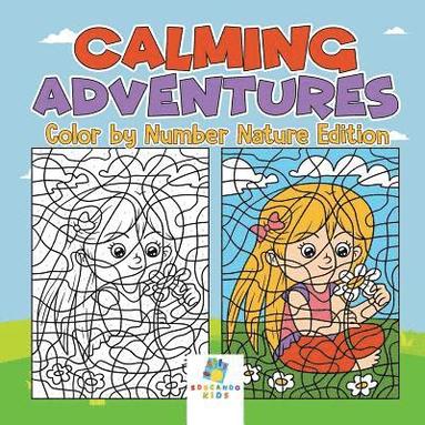 bokomslag Calming Adventures Color by Number Nature Edition