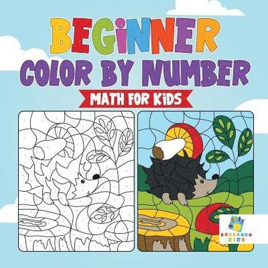 bokomslag Beginner Color by Number Math for Kids