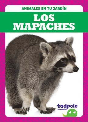 Genevieve Nilsen - Los Mapaches (Raccoons), Häftad. Tillgänglighet: Lägg i varukorg