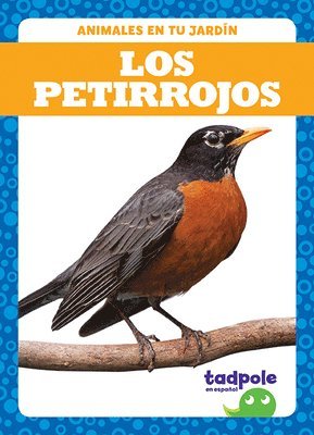 Genevieve Nilsen - Los Petirrojos (Robins), Häftad. Tillgänglighet: Lägg i varukorg
