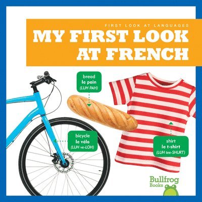 My First Look At French 1