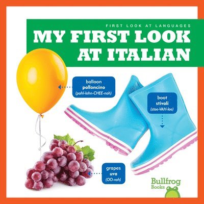 My First Look At Italian 1