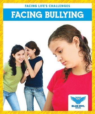 bokomslag Facing Bullying