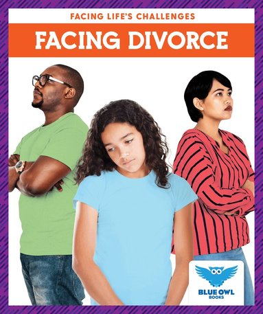 Stephanie Finne - Facing Divorce, Inbunden