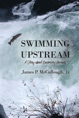 bokomslag Swimming Upstream