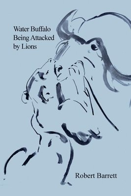 Robert Barrett - Water Buffalo Being Attacked by Lions, Häftad