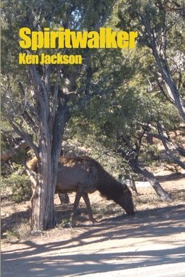 Ken Jackson - Spiritwalker, Häftad