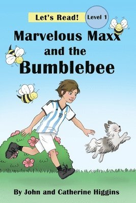 Marvelous Maxx and the Bumblebee 1