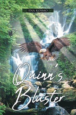 Quinn's Bluster 1