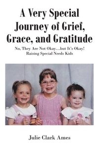 bokomslag Very Special Journey of Grief, Grace, and Gratitude