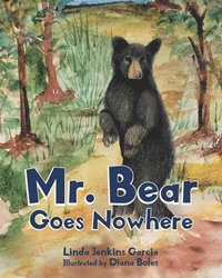 bokomslag Mr. Bear Goes Nowhere
