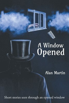 bokomslag Window Opened