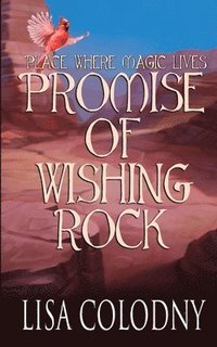 bokomslag Promise of Wishing Rock