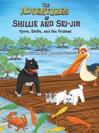 bokomslag The Adventures of Shillie and Sei-Jim