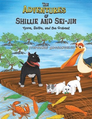 Stephanie Archangelus - Adventures of Shillie and Sei-Jim, Häftad