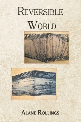 bokomslag Reversible World