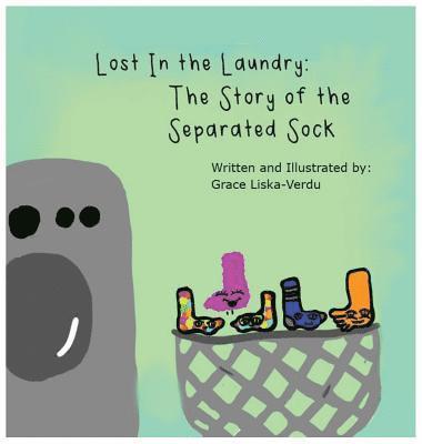 Lost in the Laundry 1
