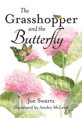 The Grasshopper and the Butterfly 1